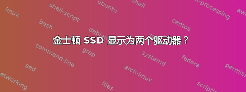 金士顿 SSD 显示为两个驱动器？