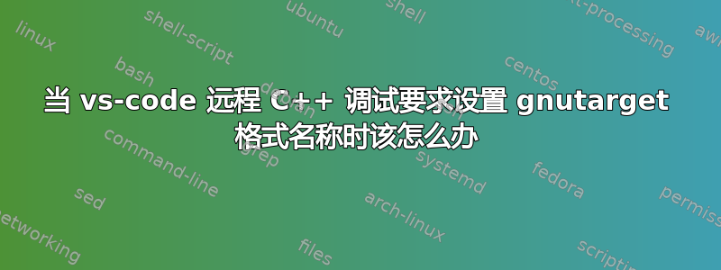 当 vs-code 远程 C++ 调试要求设置 gnutarget 格式名称时该怎么办