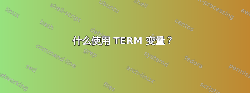 什么使用 TERM 变量？