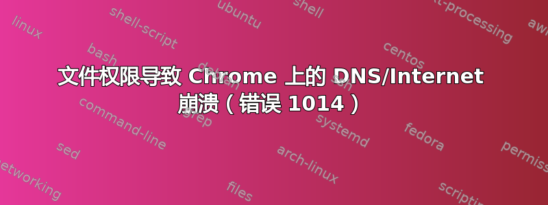 文件权限导致 Chrome 上的 DNS/Internet 崩溃（错误 1014）