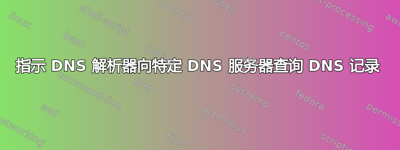 指示 DNS 解析器向特定 DNS 服务器查询 DNS 记录