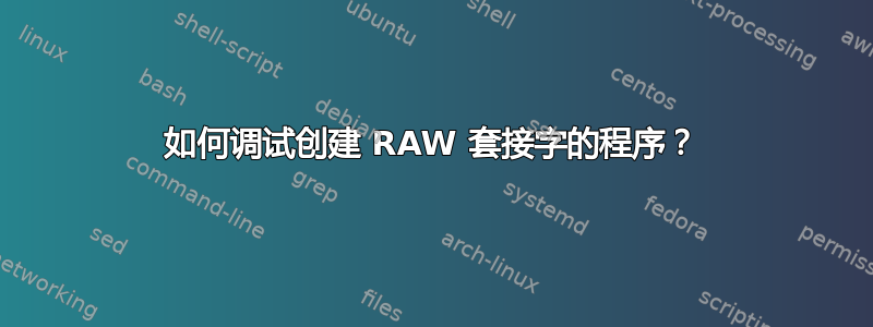 如何调试创建 RAW 套接字的程序？