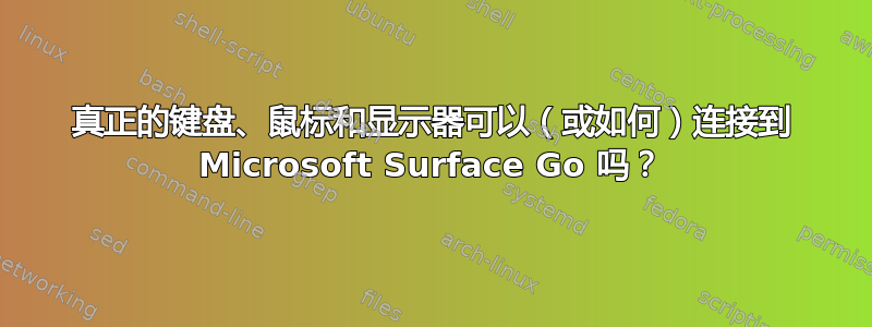 真正的键盘、鼠标和显示器可以（或如何）连接到 Microsoft Surface Go 吗？