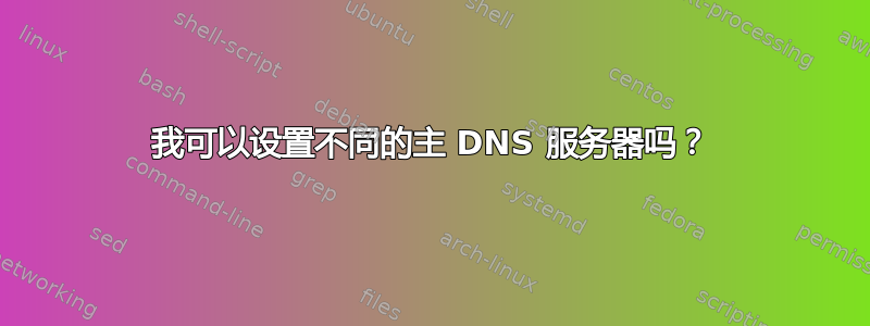 我可以设置不同的主 DNS 服务器吗？