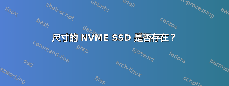 2230 尺寸的 NVME SSD 是否存在？