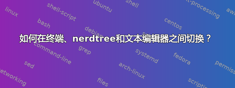 如何在终端、nerdtree和文本编辑器之间切换？