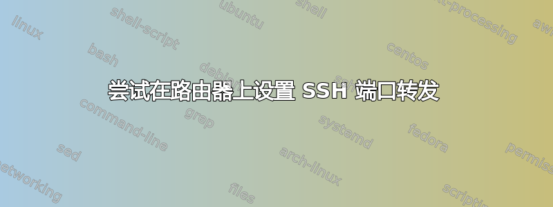 尝试在路由器上设置 SSH 端口转发