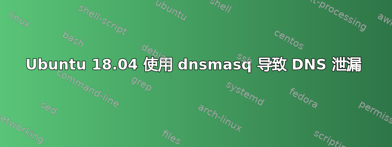 Ubuntu 18.04 使用 dnsmasq 导致 DNS 泄漏