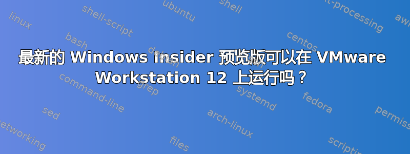 最新的 Windows Insider 预览版可以在 VMware Workstation 12 上运行吗？