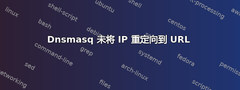 Dnsmasq 未将 IP 重定向到 URL