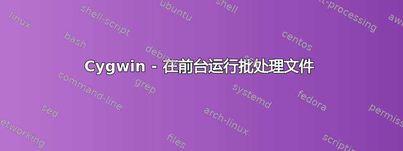 Cygwin - 在前台运行批处理文件