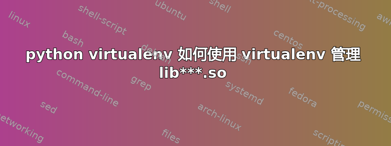 python virtualenv 如何使用 virtualenv 管理 lib***.so