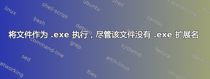 将文件作为 .exe 执行，尽管该文件没有 .exe 扩展名