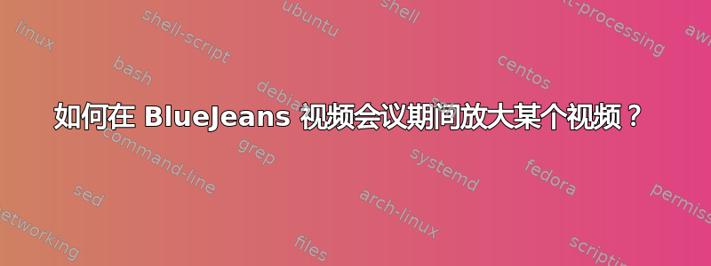 如何在 BlueJeans 视频会议期间放大某个视频？