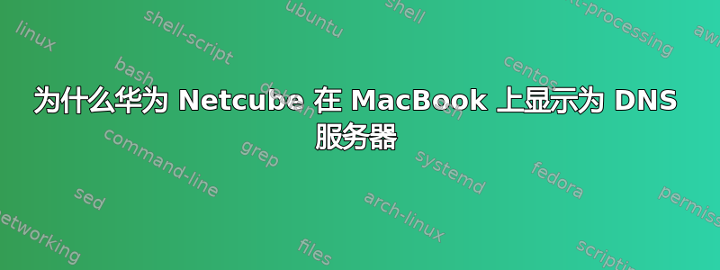 为什么华为 Netcube 在 MacBook 上显示为 DNS 服务器