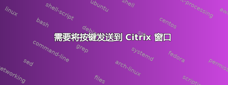 需要将按键发送到 Citrix 窗口