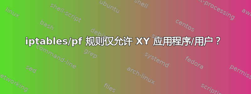 iptables/pf 规则仅允许 XY 应用程序/用户？