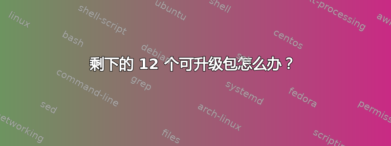 剩下的 12 个可升级包怎么办？