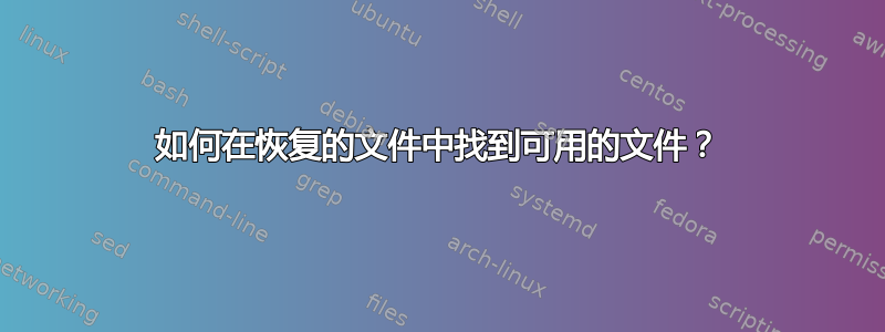 如何在恢复的文件中找到可用的文件？