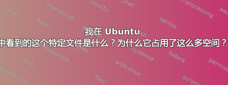 我在 Ubuntu 中看到的这个特定文件是什么？为什么它占用了这么多空间？