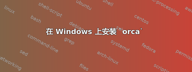 在 Windows 上安装 `orca`