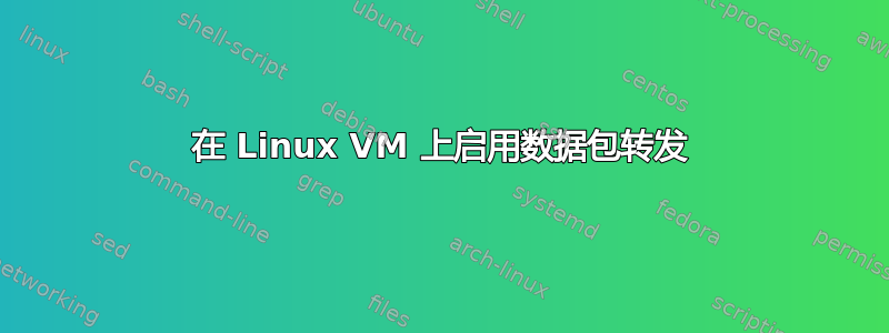 在 Linux VM 上启用数据包转发