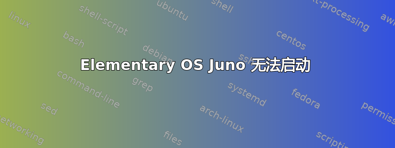 Elementary OS Juno 无法启动