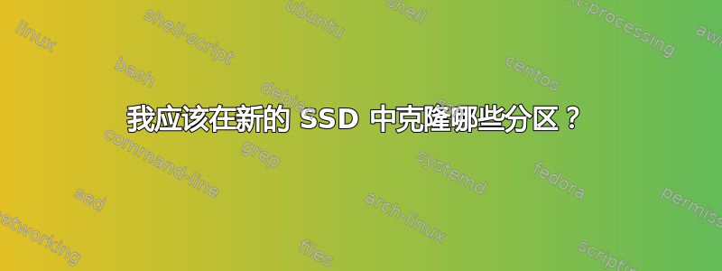 我应该在新的 SSD 中克隆哪些分区？