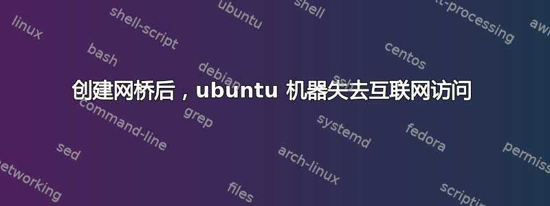 创建网桥后，ubuntu 机器失去互联网访问