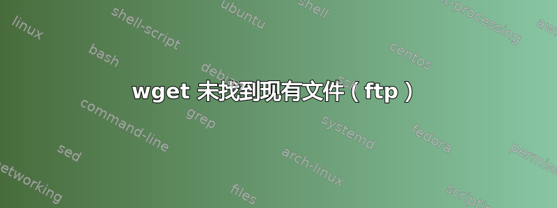 wget 未找到现有文件（ftp）