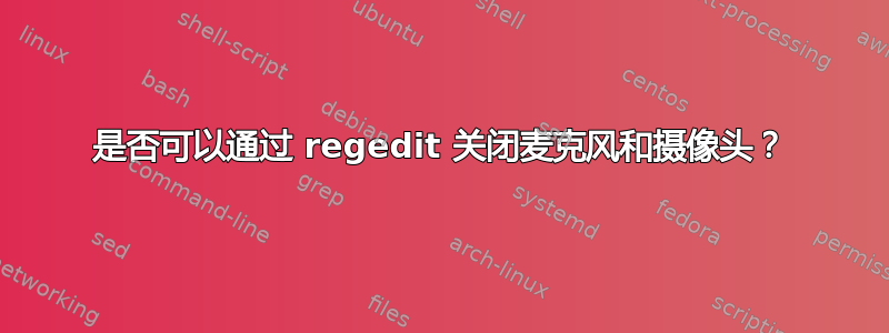 是否可以通过 regedit 关闭麦克风和摄像头？