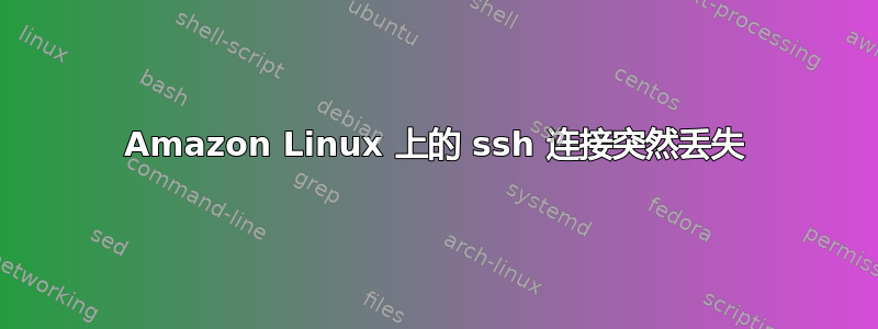 Amazon Linux 上的 ssh 连接突然丢失