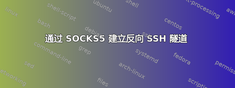 通过 SOCKS5 建立反向 SSH 隧道