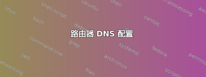 路由器 DNS 配置