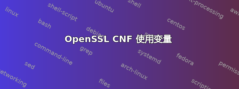 OpenSSL CNF 使用变量