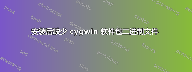 安装后缺少 cygwin 软件包二进制文件