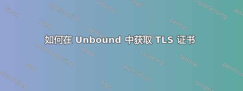 如何在 Unbound 中获取 TLS 证书