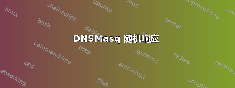 DNSMasq 随机响应