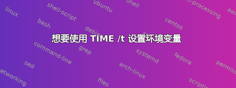 想要使用 TIME /t 设置环境变量