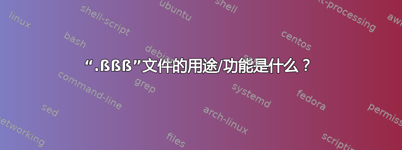 “.ßßß”文件的用途/功能是什么？