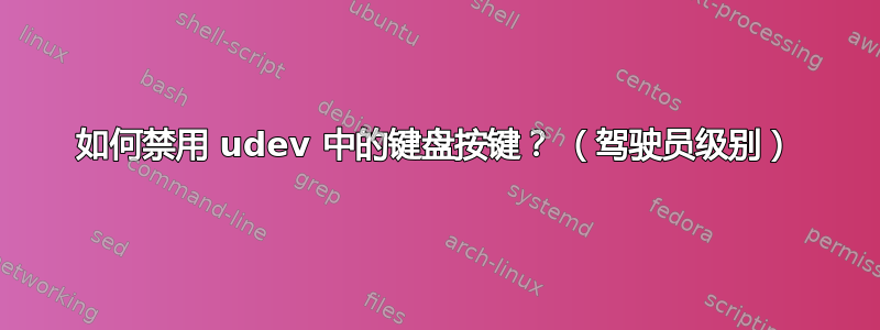 如何禁用 udev 中的键盘按键？ （驾驶员级别）