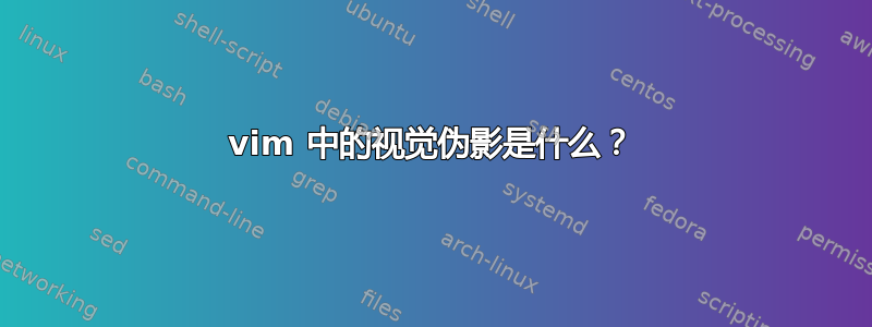 vim 中的视觉伪影是什么？