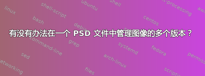 有没有办法在一个 PSD 文件中管理图像的多个版本？