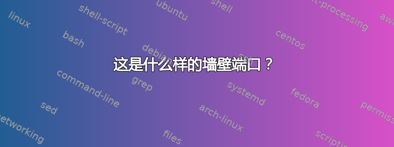 这是什么样的墙壁端口？