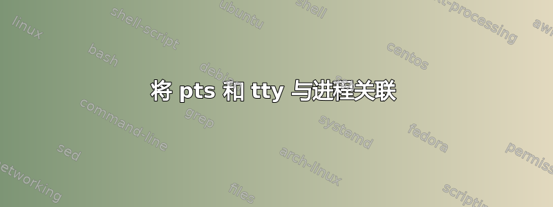 将 pts 和 tty 与进程关联