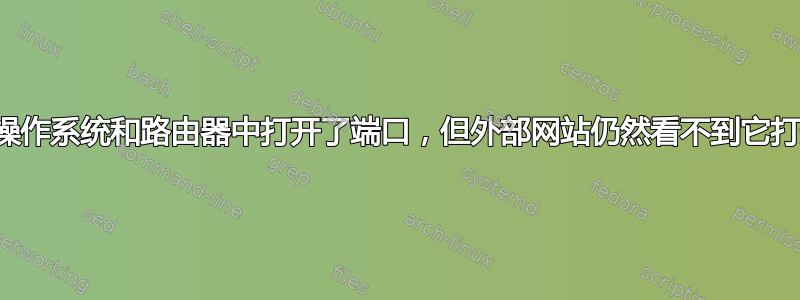 在操作系统和路由器中打开了端口，但外部网站仍然看不到它打开