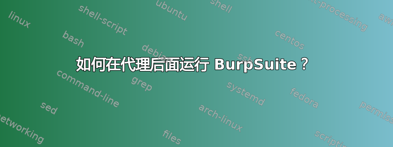 如何在代理后面运行 BurpSuite？