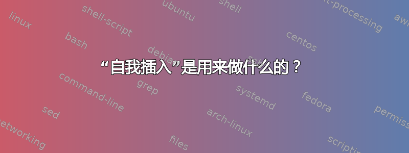 “自我插入”是用来做什么的？