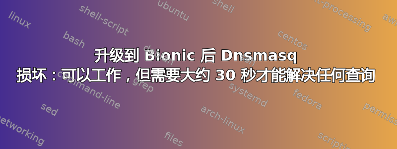 升级到 Bionic 后 Dnsmasq 损坏：可以工作，但需要大约 30 秒才能解决任何查询