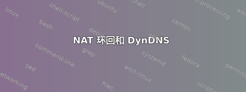 NAT 环回和 DynDNS